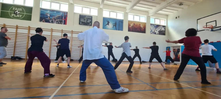 Ba Fa Wu Bu